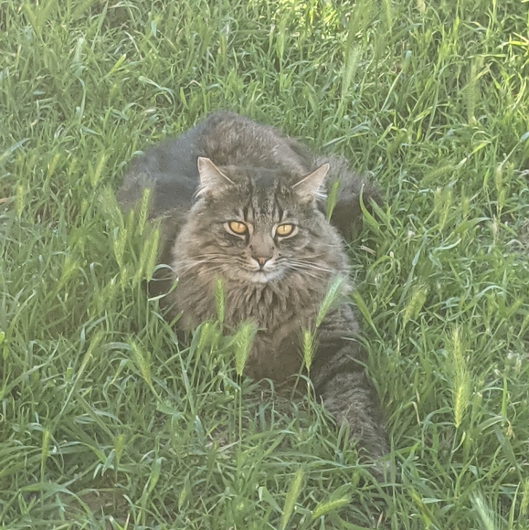 Meet your Posher, Christine - Picture 9 of 14